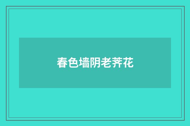 春色墙阴老荠花