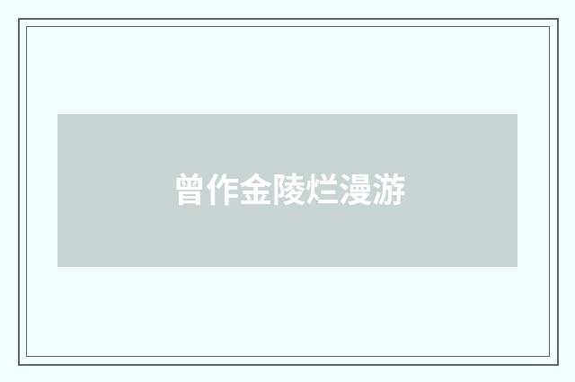 曾作金陵烂漫游