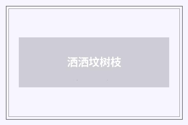 洒洒坟树枝