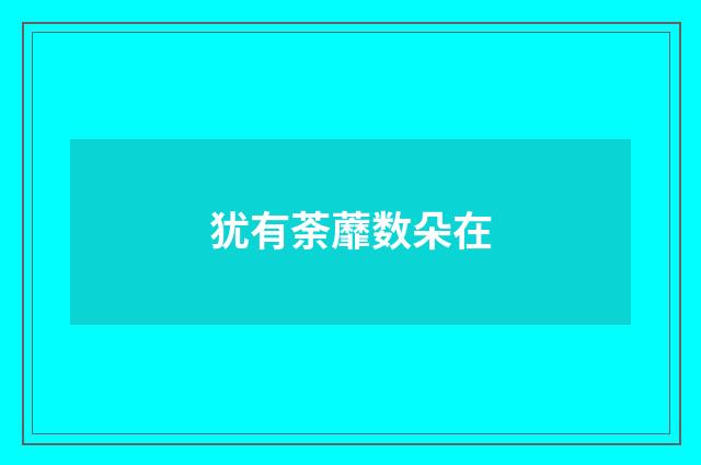 犹有荼蘼数朵在