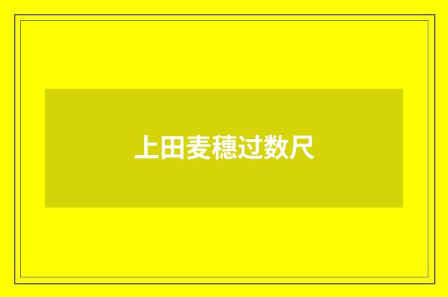 上田麦穗过数尺