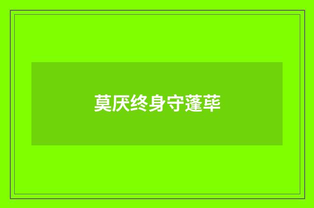 莫厌终身守蓬荜