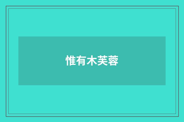 惟有木芙蓉