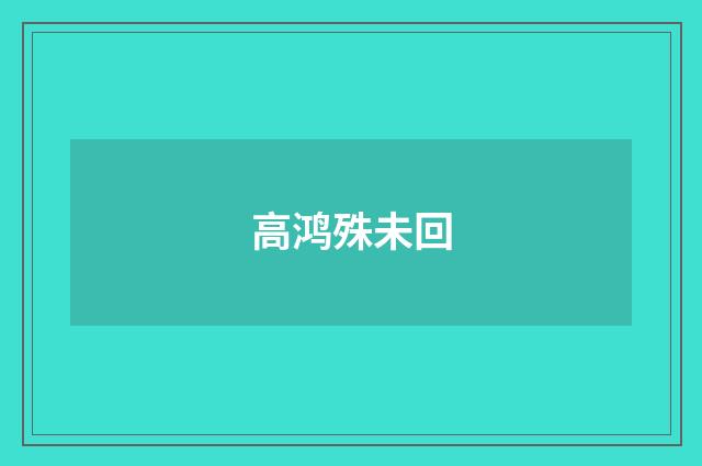 高鸿殊未回