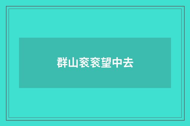 群山衮衮望中去