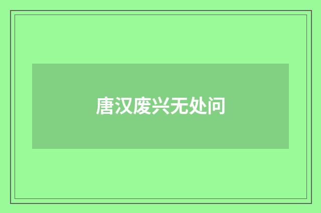 唐汉废兴无处问