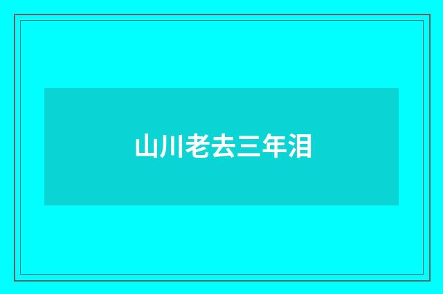 山川老去三年泪
