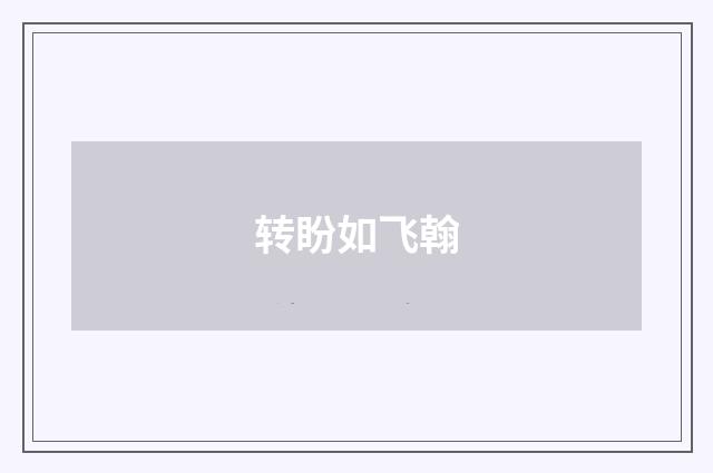 转盼如飞翰