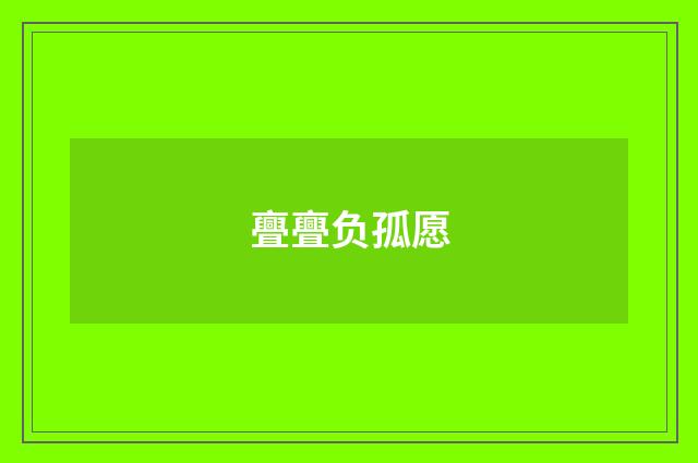 亹亹负孤愿