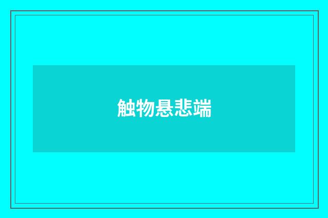 触物悬悲端