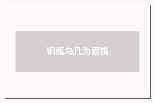 铜瓶乌几为君携