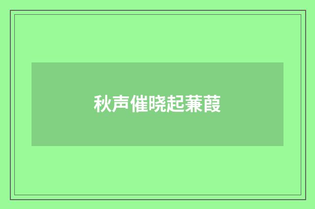 秋声催晓起蒹葭