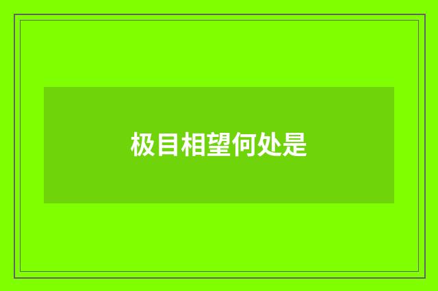 极目相望何处是