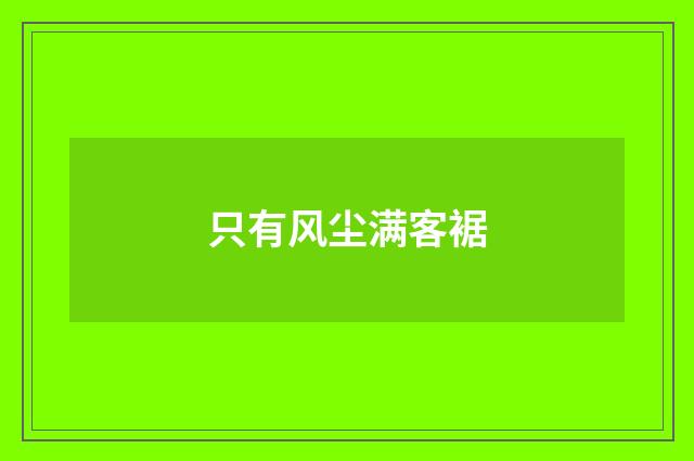 只有风尘满客裾