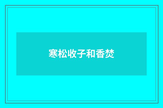 寒松收子和香焚