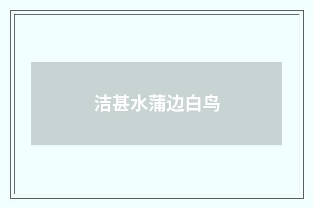 洁甚水蒲边白鸟