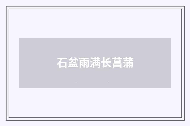 石盆雨满长菖蒲