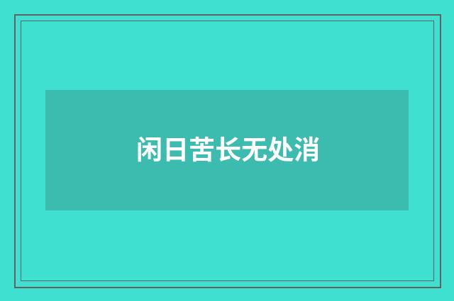 闲日苦长无处消