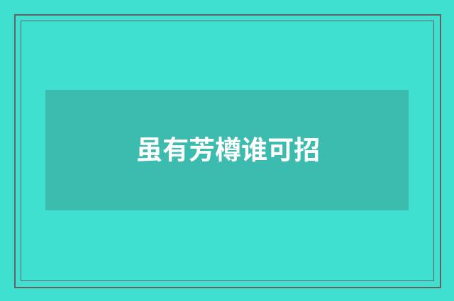 虽有芳樽谁可招