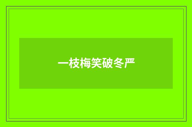 一枝梅笑破冬严