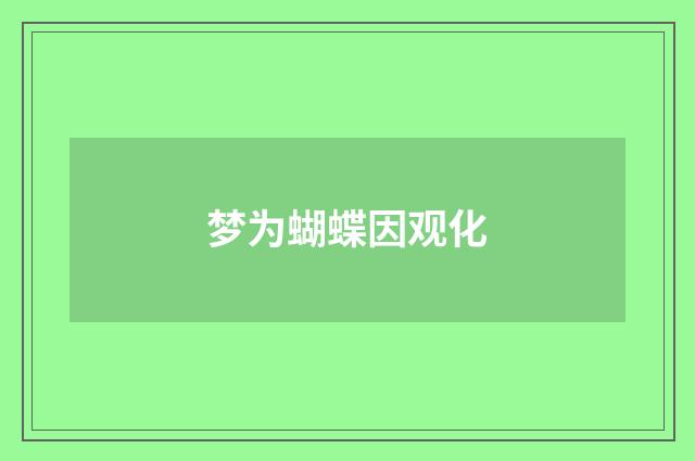 梦为蝴蝶因观化