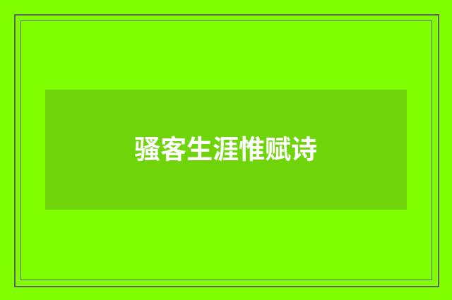 骚客生涯惟赋诗
