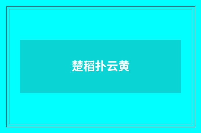楚稻扑云黄