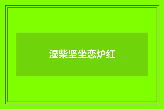 湿柴坚坐恋炉红