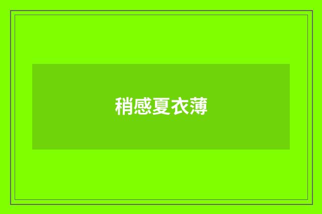 稍感夏衣薄