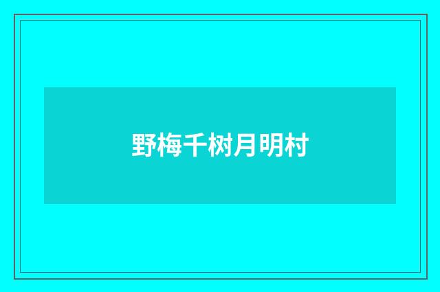野梅千树月明村