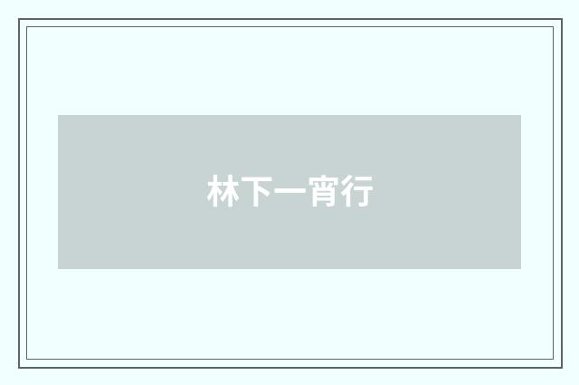 林下一宵行