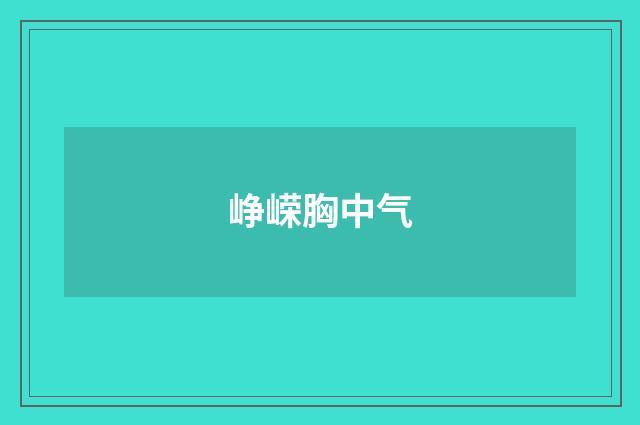 峥嵘胸中气