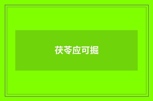 茯苓应可掘