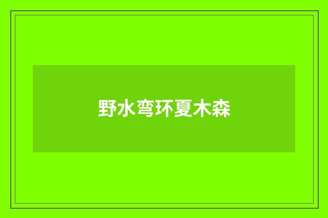 野水弯环夏木森