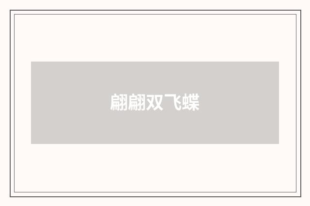 翩翩双飞蝶