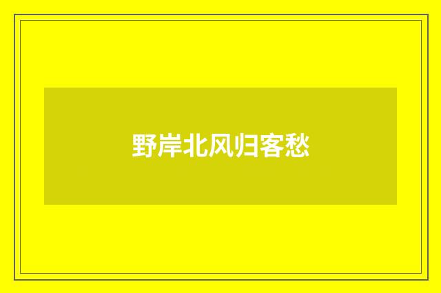 野岸北风归客愁