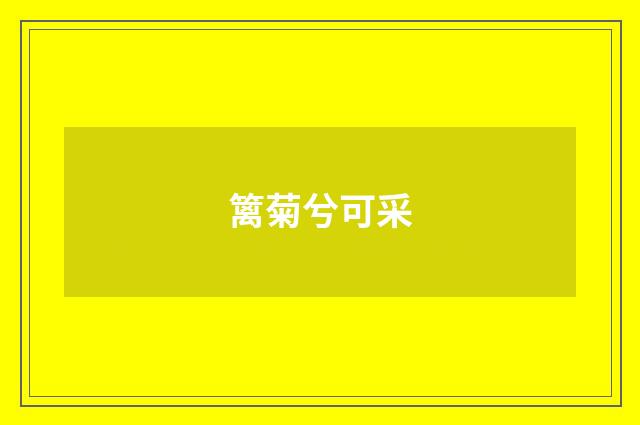 篱菊兮可采