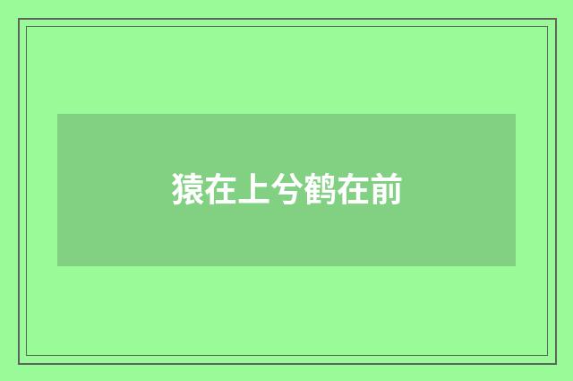 猿在上兮鹤在前