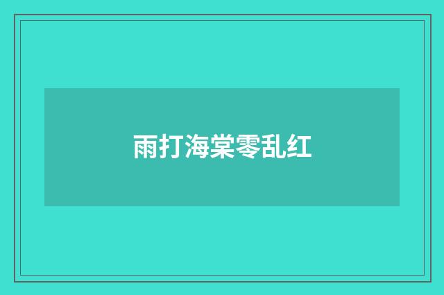 雨打海棠零乱红