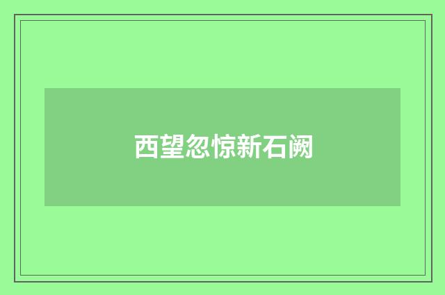 西望忽惊新石阙