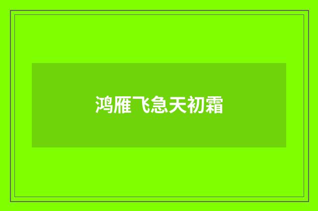 鸿雁飞急天初霜