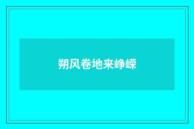 朔风卷地来峥嵘
