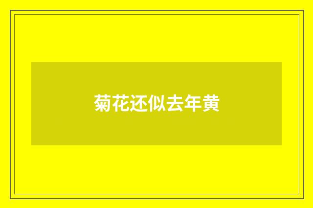 菊花还似去年黄