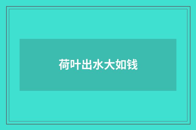 荷叶出水大如钱