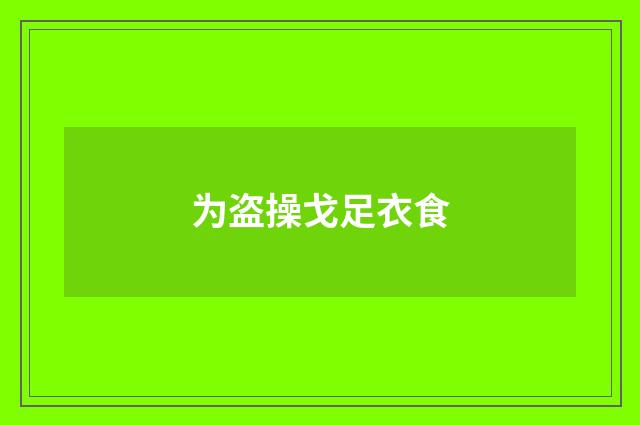 为盗操戈足衣食