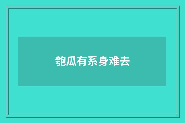 匏瓜有系身难去