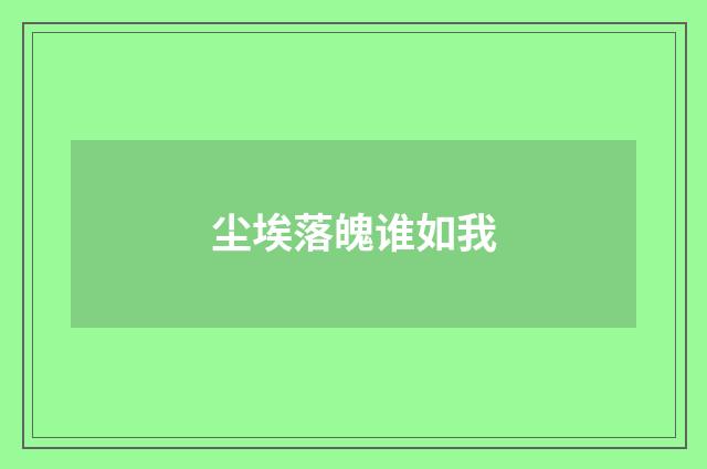 尘埃落魄谁如我