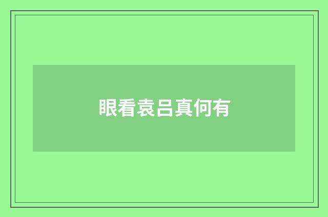 眼看袁吕真何有