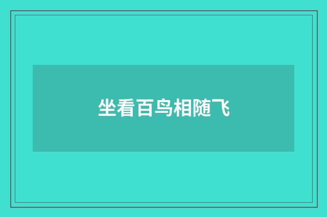 坐看百鸟相随飞