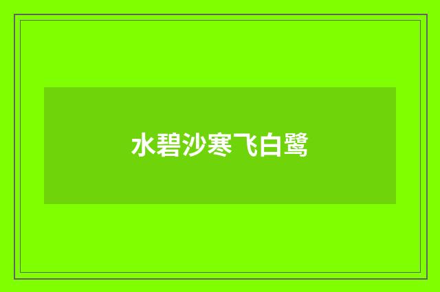 水碧沙寒飞白鹭